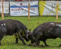 VILLARLOD103