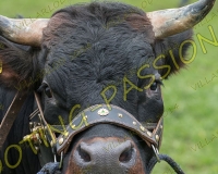 VILLARLOD122