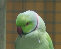 97R0004