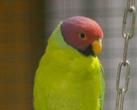 97R0008