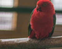 97R0011