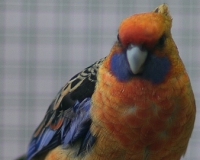 97R0019
