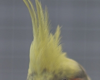 97R0024