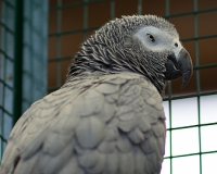 97R0113