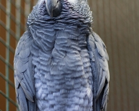 97R0133