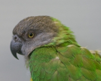 97R0226