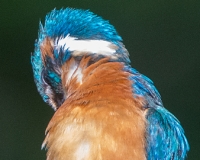 97R0134