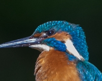 97R0138