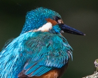 97R0204
