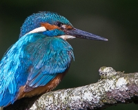 97R0209