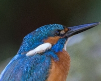97R0386
