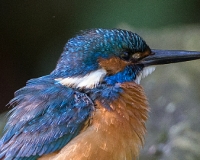 97R0425