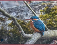 E6T0003