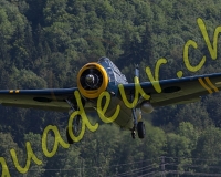 1EPAGNY039