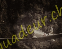 1EPAGNY355-Modifier pe