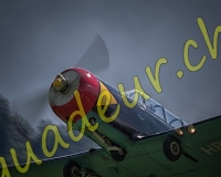 2EPAGNY505-Modifier
