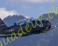 5EPAGNY029