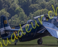 5EPAGNY353