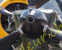 5EPAGNY376