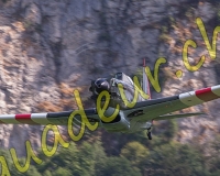 5EPAGNY528