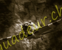 5EPAGNY529