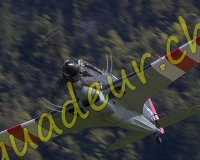 5EPAGNY534