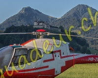 7EPAGNY006-Modifier