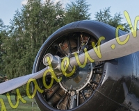 7EPAGNY028-Modifier