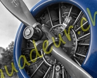 7EPAGNY037-Modifier