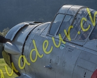 7EPAGNY070-Modifier