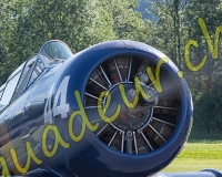 7EPAGNY084-Modifier