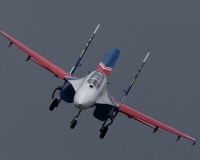 1alpnach0308
