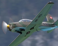 1alpnach0462