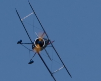 3alpnach0152