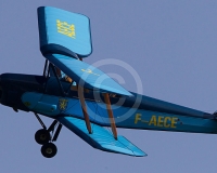 1GLOVELIER 039