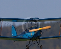 1GLOVELIER 050