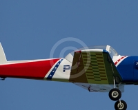 1GLOVELIER 196