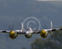 1GLOVELIER 212