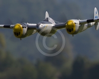 1GLOVELIER 219