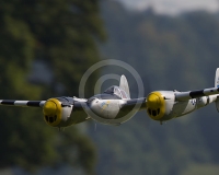 1GLOVELIER 221