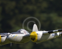 1GLOVELIER 224