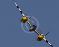 1GLOVELIER 230
