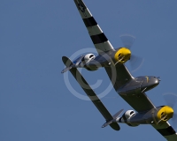 1GLOVELIER 238