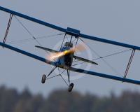 1GLOVELIER 248