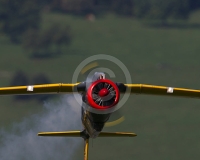 1GLOVELIER 316