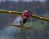 1GLOVELIER 320