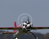 1GLOVELIER 348