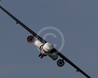 1GLOVELIER 362