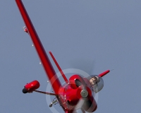 1GLOVELIER 379