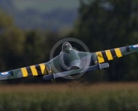 1GLOVELIER 423